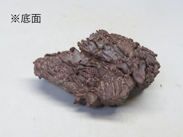 水石 赤抹香石