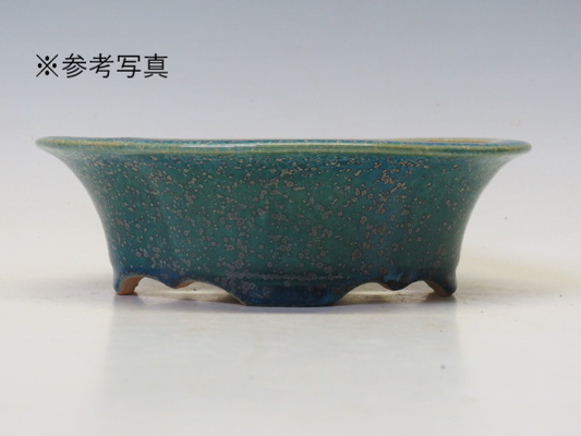 盆栽鉢 鴻陽 木瓜鉢【鴻陽鉢 正規取扱店】