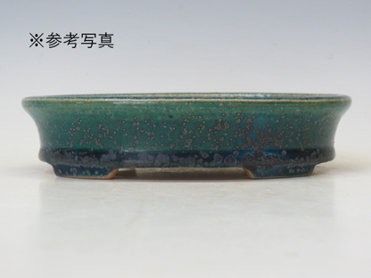 盆栽鉢 鴻陽  楕円鉢【鴻陽鉢 正規取扱店】