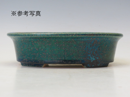 盆栽鉢 鴻陽 楕円鉢【鴻陽鉢 正規取扱店】