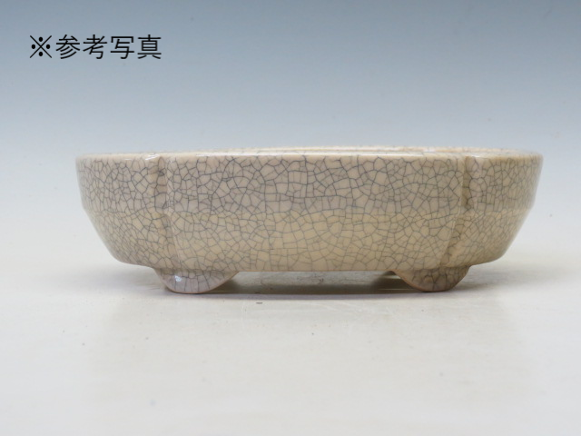 盆栽鉢 鴻陽 木瓜鉢【鴻陽鉢 正規取扱店】