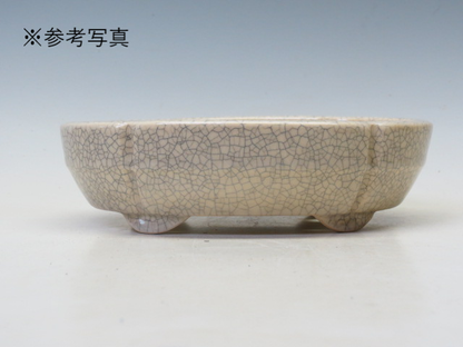 盆栽鉢 鴻陽 木瓜鉢【鴻陽鉢 正規取扱店】