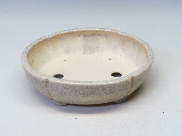 盆栽鉢 鴻陽 木瓜鉢【鴻陽鉢 正規取扱店】