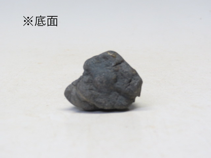 水石　貴船 蓬石（滝石）