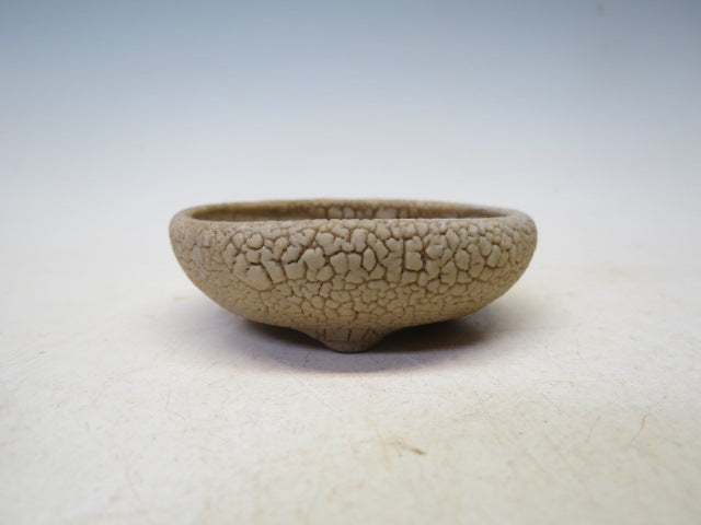 盆栽鉢 町直 丸鉢（かいらぎ）