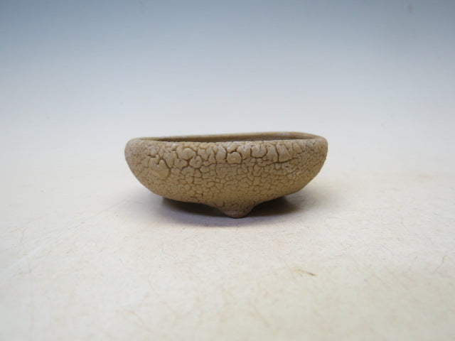 盆栽鉢 町直 丸鉢（かいらぎ）