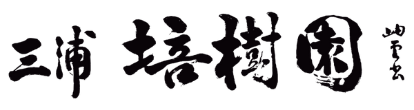 baijuen